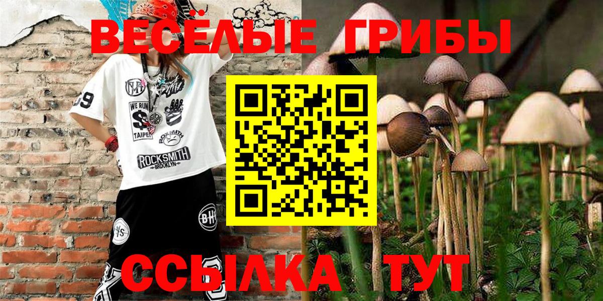 Галлюциногенные грибы мицелий Барабинск